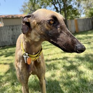 Helen